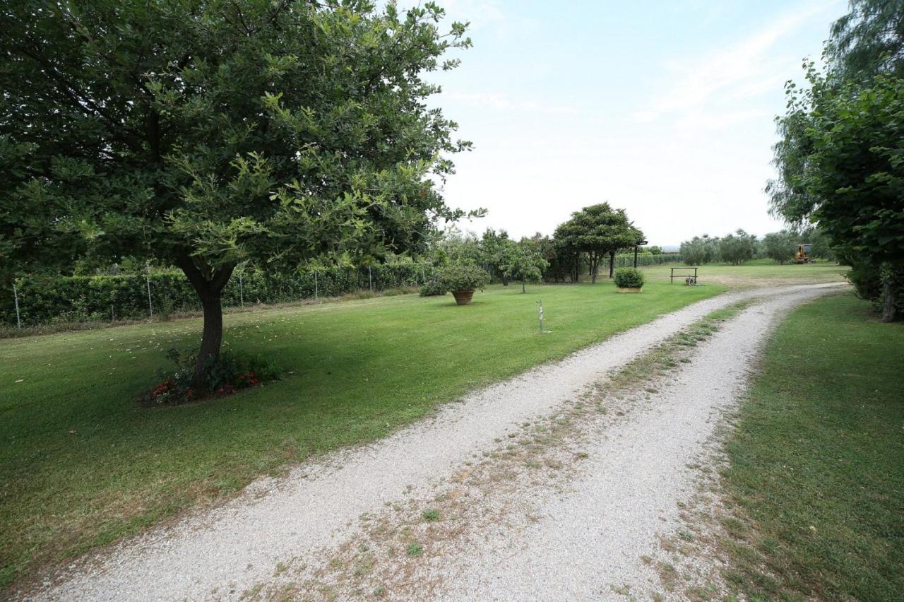 Podere Serena Castagneto Carducci Buitenkant foto