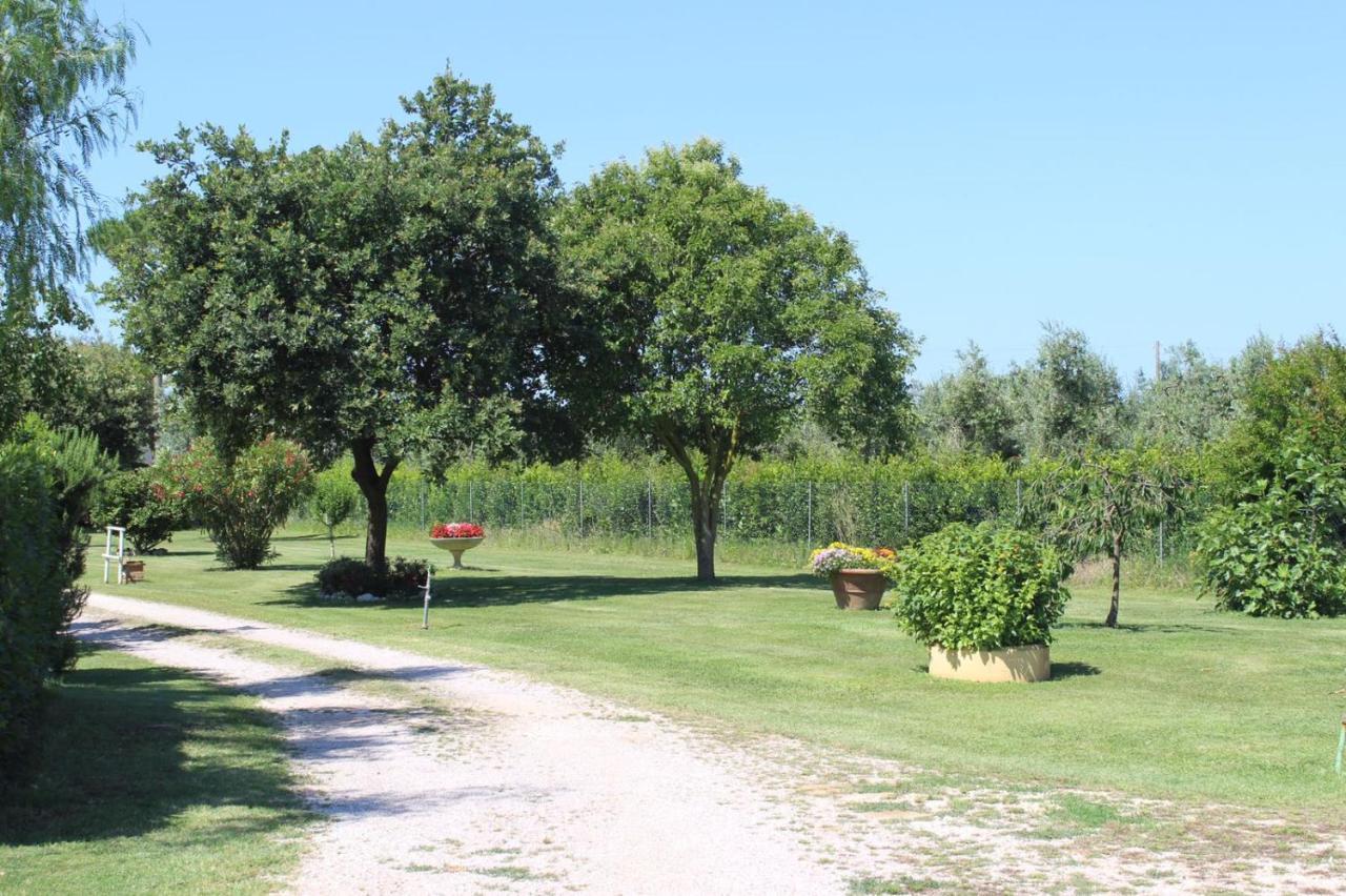 Podere Serena Castagneto Carducci Buitenkant foto