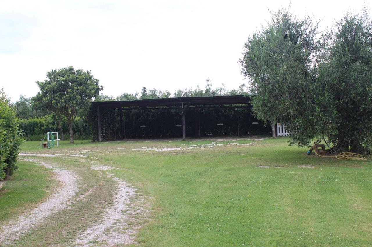 Podere Serena Castagneto Carducci Buitenkant foto